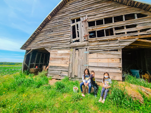 Fruit and Vegetable Store «Henley Farm», reviews and photos, 3513 Charity Neck Rd, Virginia Beach, VA 23456, USA
