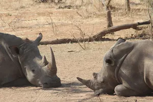 Livingstone Rhino Walking Safaris - Mosi-Oa-Tunya National Park image