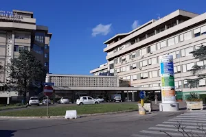 Hospital F. Ferrari image