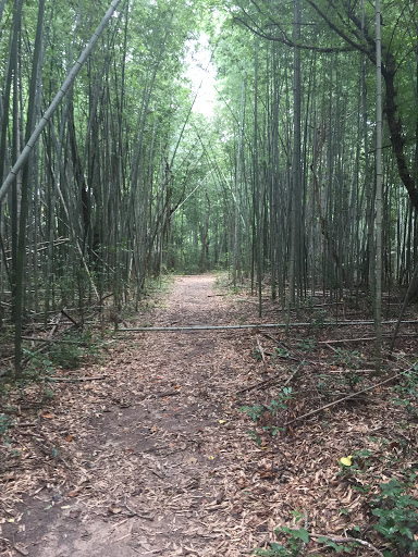 Nature Preserve «Frenchtown Rd Conservation Area», reviews and photos, 17819 Frenchtown Rd, Central, LA 70739, USA