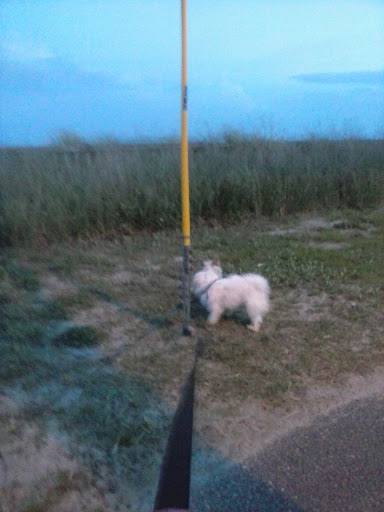 Park «Morse Park», reviews and photos, Morse Ave, West Haven, CT 06516, USA