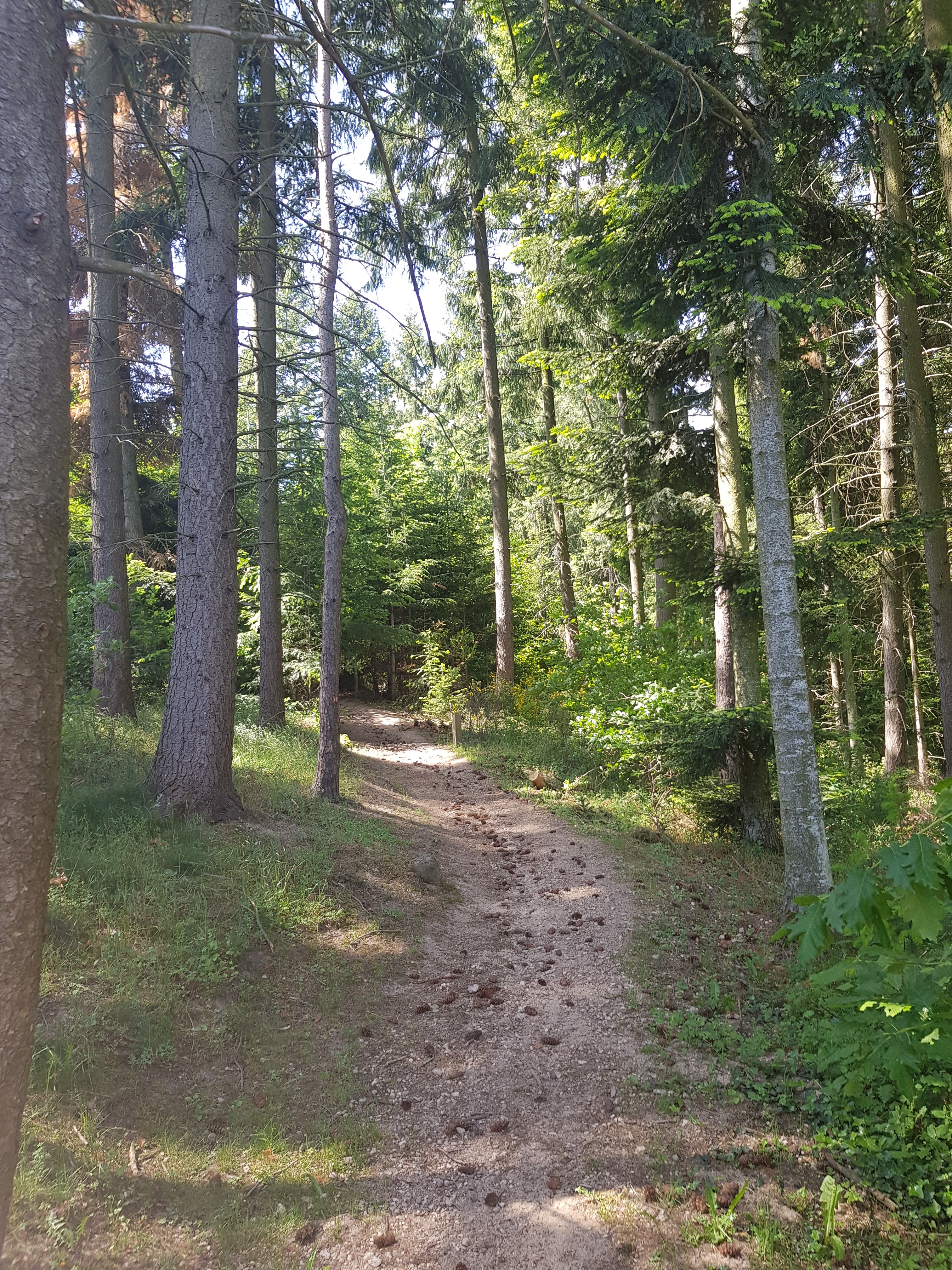 Photo n° 2 de l'avis de Agatha.. fait le 30/05/2019 à 14:53
