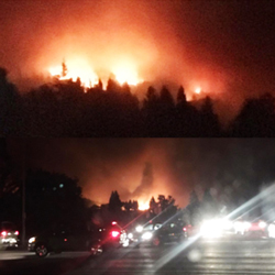 Insurance Agency «Mike Gaumer - State Farm Insurance Agent», reviews and photos