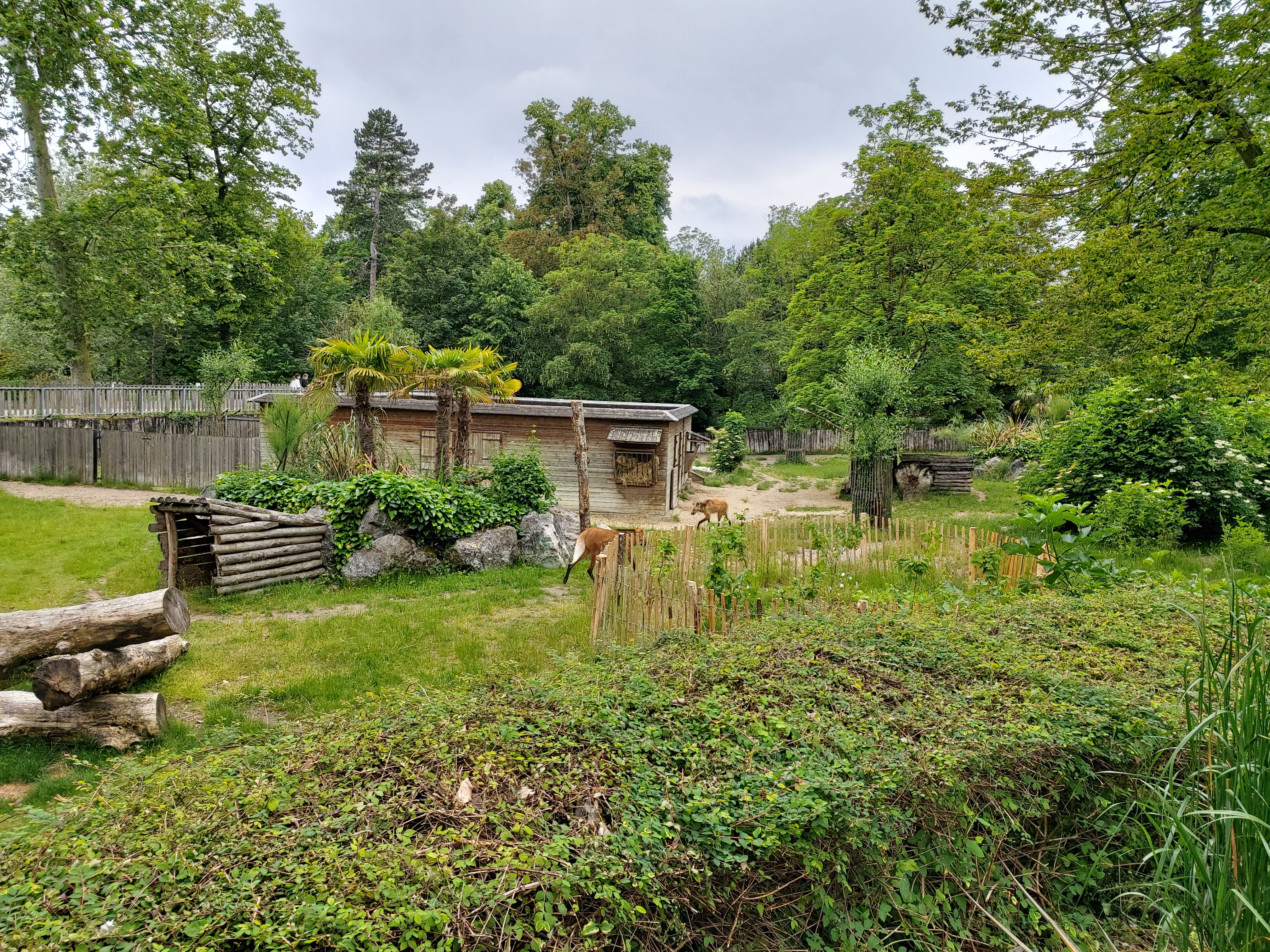 Photo n° 18 de l'avis de DJ.i fait le 12/06/2021 à 15:42