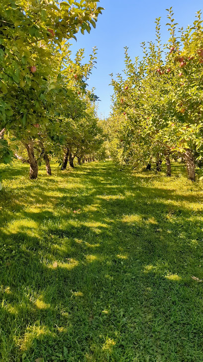 Camerons Orchard for-sale and u-pick