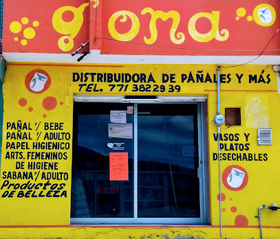 GOMA Pañales Pachuca
