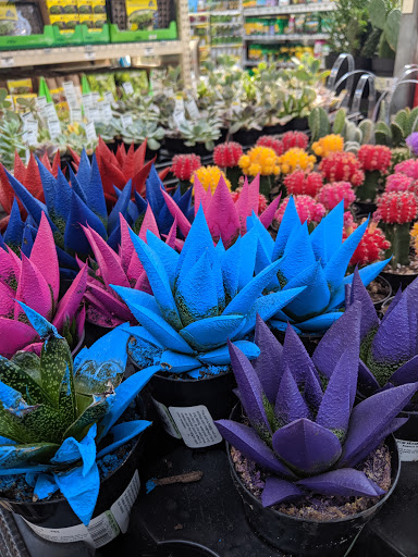 Home Improvement Store «The Home Depot», reviews and photos, 229 Hartford Ave, Bellingham, MA 02019, USA