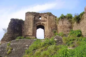 Pharwala Fort image
