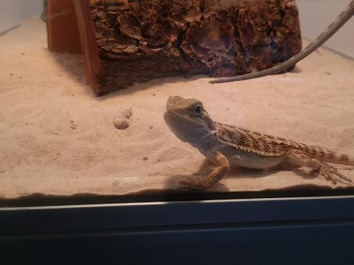 Pet Supply Store «Valley Feed», reviews and photos, 1486 Freedom Blvd, Watsonville, CA 95076, USA