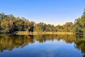 Putney's Pond and Woodlands Park image