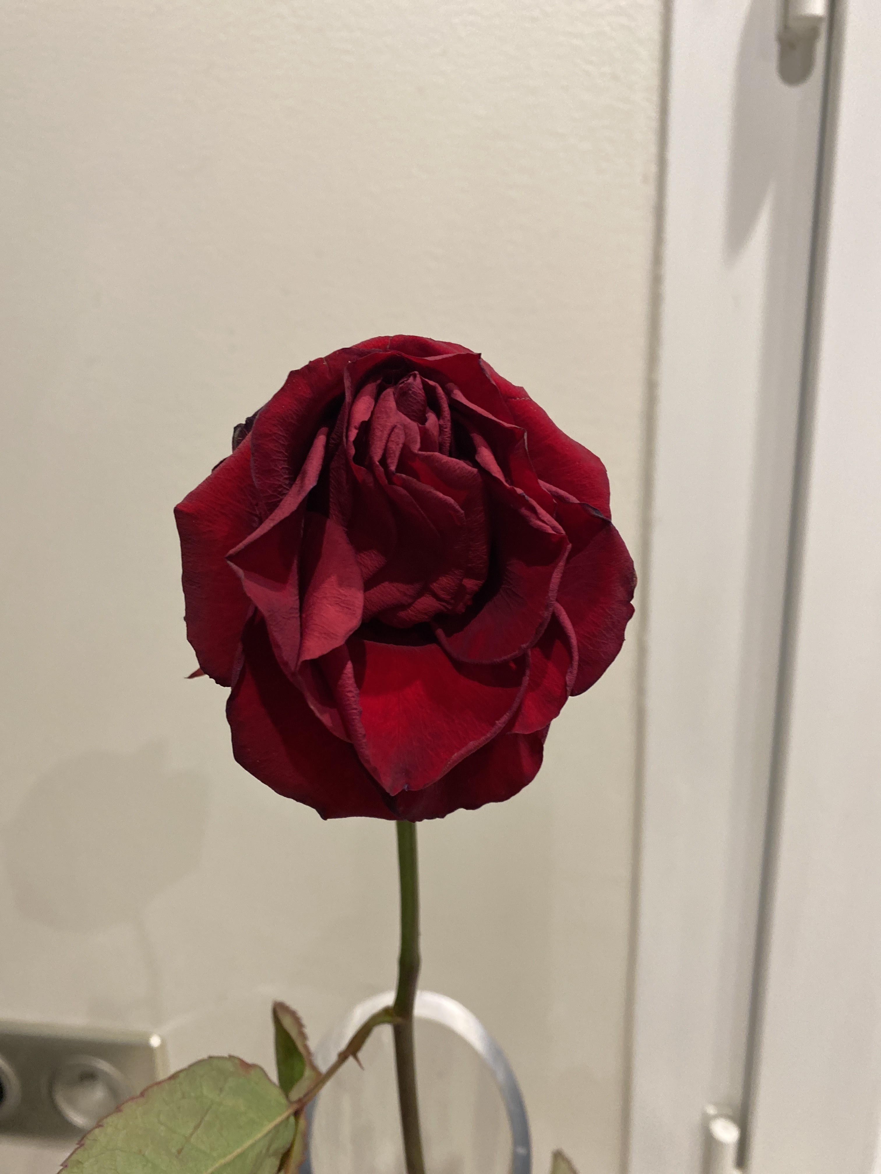Photo n° 2 de l'avis de Célia.o fait le 15/02/2022 à 17:47