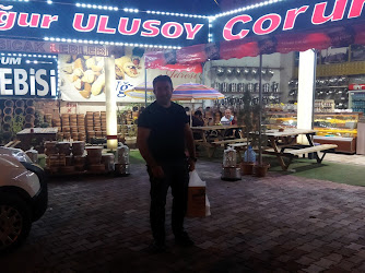 leblebici uğur ulusoy