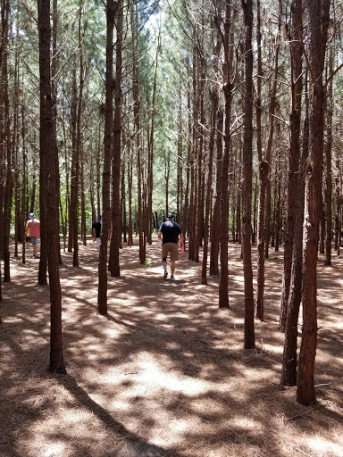 Golf Shop «Pine Valley Golf Course», reviews and photos, 9311 Old Tom Box Rd, Sherwood, AR 72120, USA