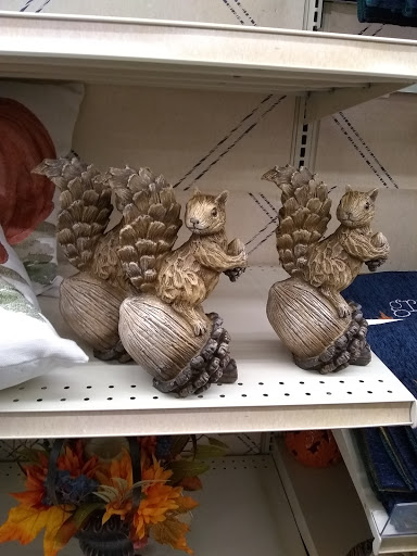 Discount Store «Big Lots», reviews and photos, 2349 Cherry Rd #79, Rock Hill, SC 29732, USA