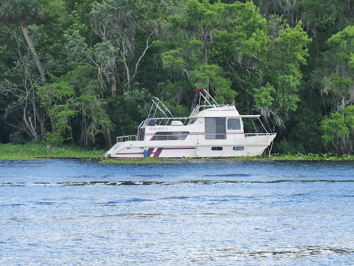 National Forest «Ocala National Forest», reviews and photos, FL-40, Silver Springs, FL 34488, USA