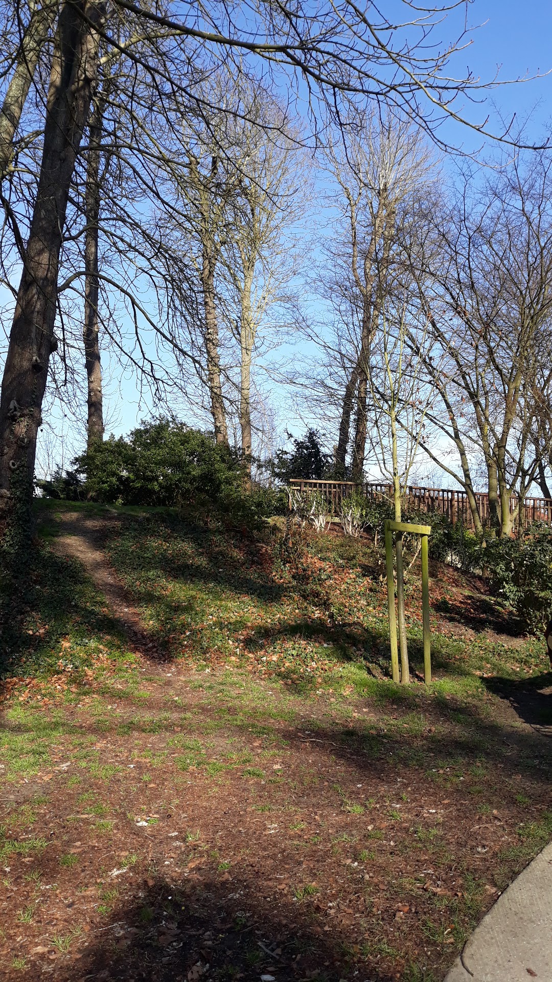 Photo n° 2 de l'avis de Slimane. fait le 18/02/2018 à 13:38