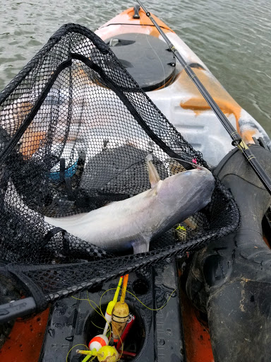 Vacation Home Rental Agency «Fish Island», reviews and photos, 3535 Blue Spring Rd, Cadiz, KY 42211, USA