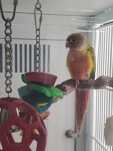 Pet Supply Store «Petco Animal Supplies», reviews and photos, 4475 SW 40th Ave, Ocala, FL 34474, USA