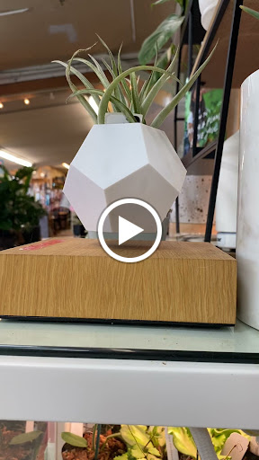 Garden Center «Kent East Hill Nursery», reviews and photos, 11644 SE 240th St, Kent, WA 98031, USA