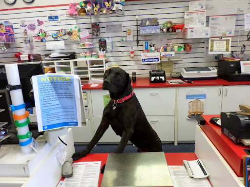 11918 SE Division St, Portland, OR 97266, USA