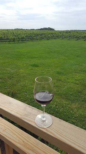 Winery «Paumanok Vineyards», reviews and photos, 1074 Main Rd, Aquebogue, NY 11931, USA