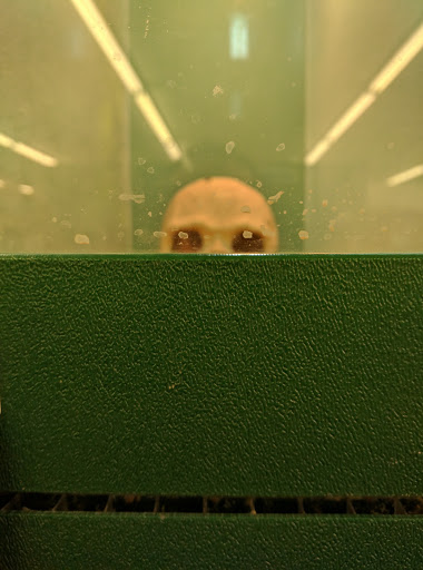 Pet Supply Store «Pet Supplies Plus», reviews and photos, 508 E Stroop Rd, Kettering, OH 45429, USA