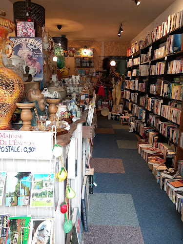 Librairie de livres d'occasion La grange du chineur Pontailler-sur-Saône