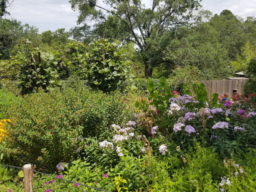 Zoo «Caldwell Zoo», reviews and photos, 2203 W Martin Luther King Jr Blvd, Tyler, TX 75702, USA