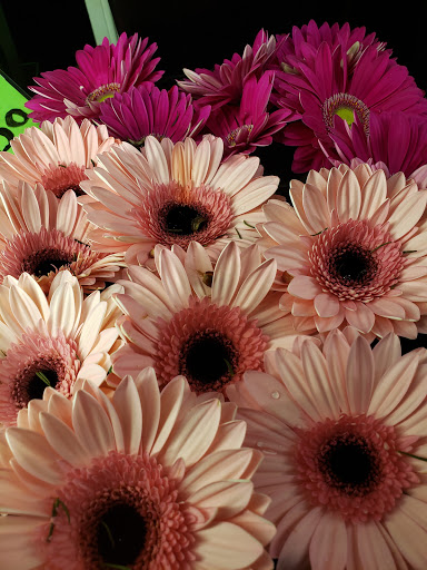 Florist «Ye Olde Yardley Florist», reviews and photos, 175 S Main St, Yardley, PA 19067, USA