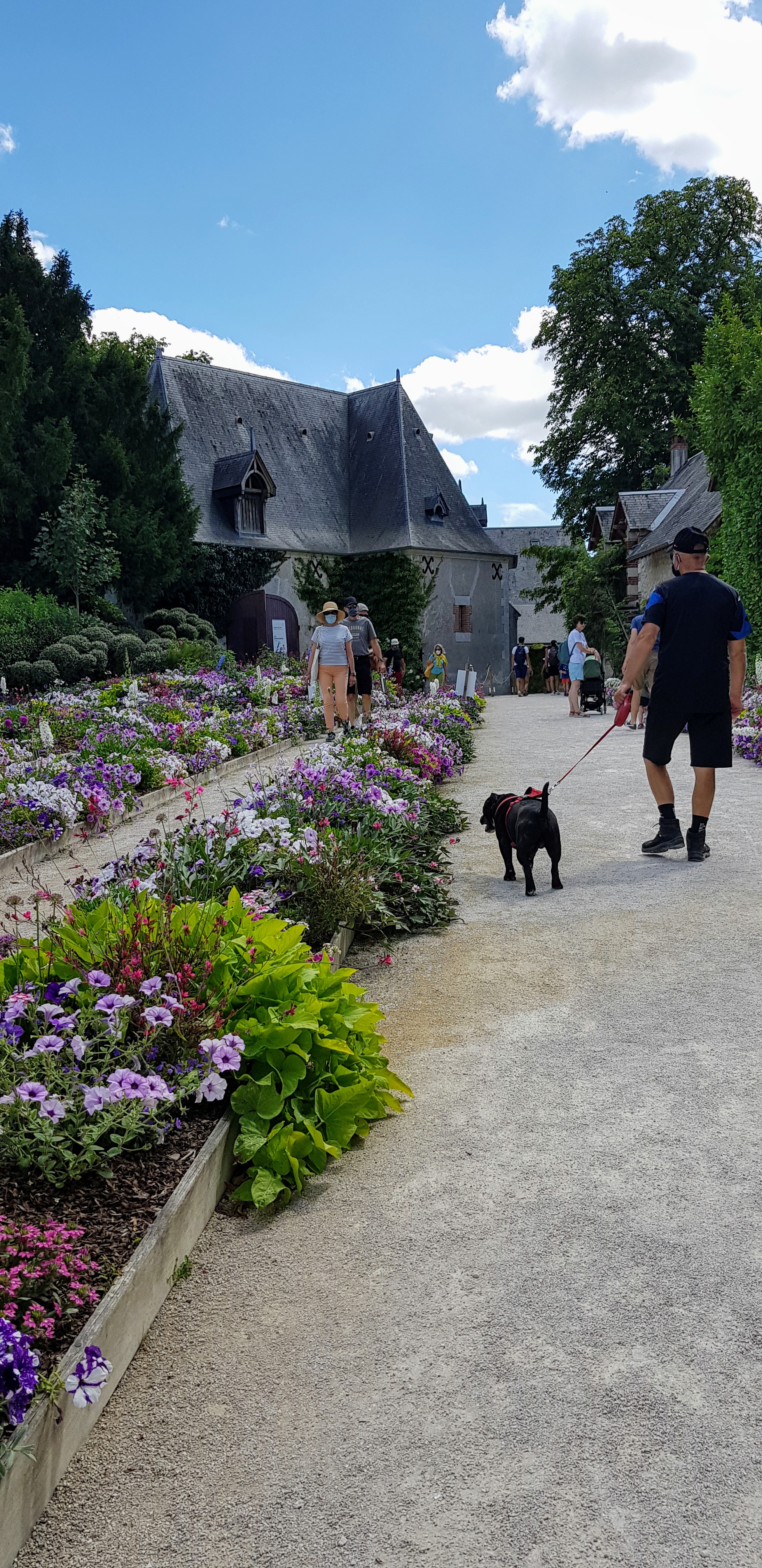 Photo n° 3 de l'avis de marie.e fait le 26/07/2020 à 16:42
