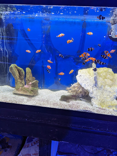 Pet Store «Coral Reef Pet Center», reviews and photos, 7723 W Lawrence Ave, Norridge, IL 60706, USA