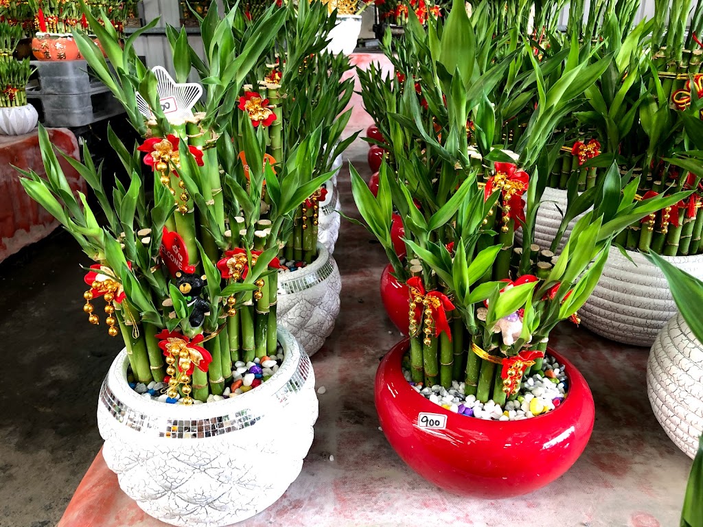 C`est La Vie飲料 花卉 在地小農水果 的照片