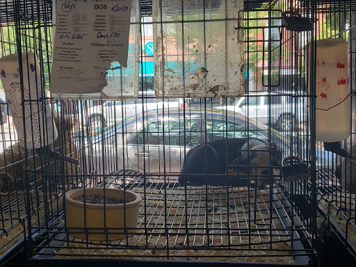 Pet Supply Store «Whiteway Pet Shop», reviews and photos, 950 Elizabeth Ave, Elizabeth, NJ 07201, USA