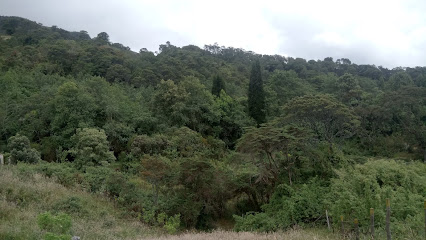 Reserva Forestal Quebrada Honda y Calderitas
