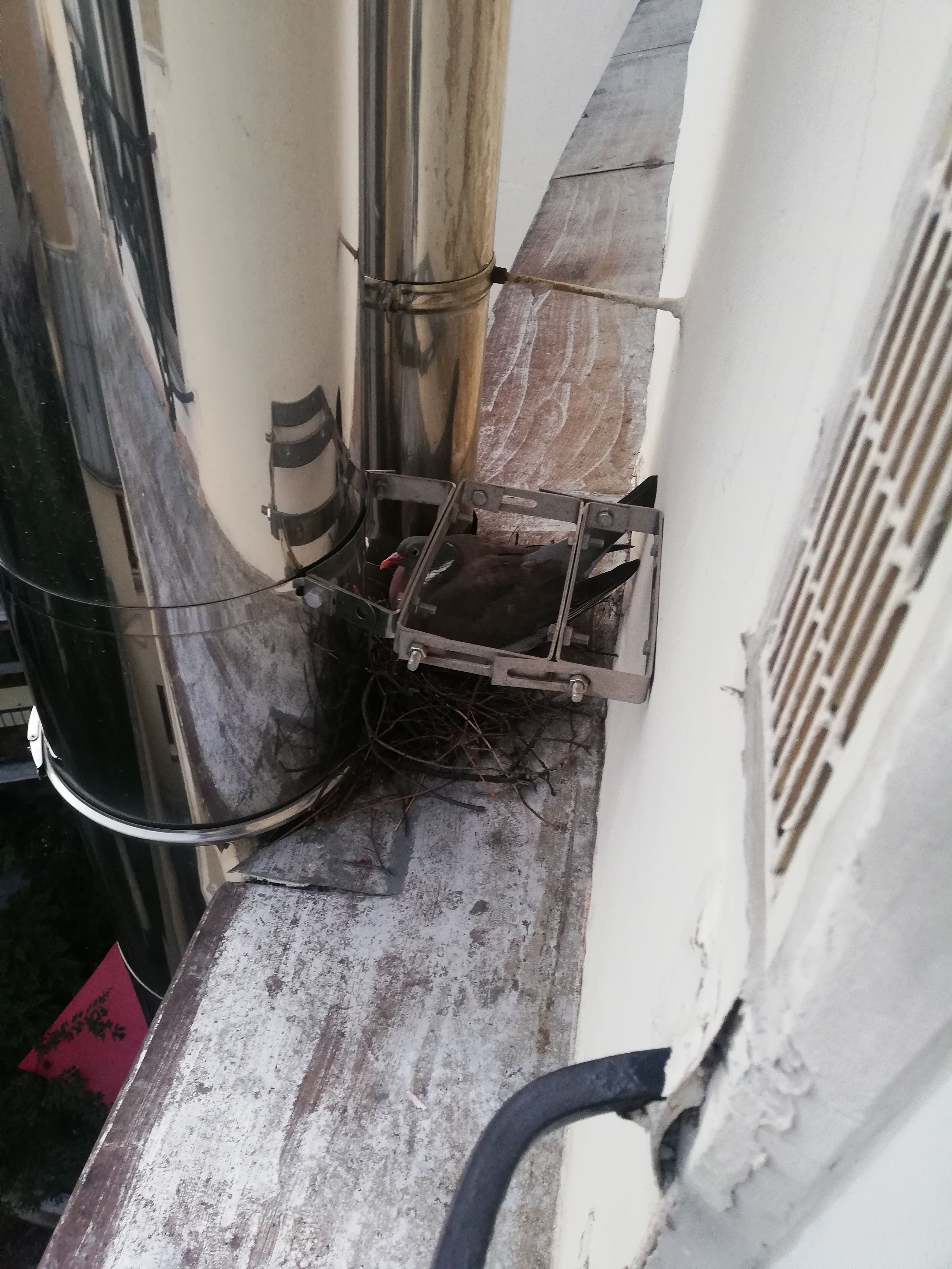 Photo n° 4 de l'avis de Juan.i fait le 11/08/2019 à 09:11