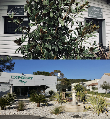 Finagios à Cabriès