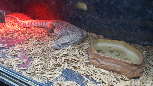 Pet Supply Store «Pet Bazaar», reviews and photos, 490 FL-436, Casselberry, FL 32707, USA