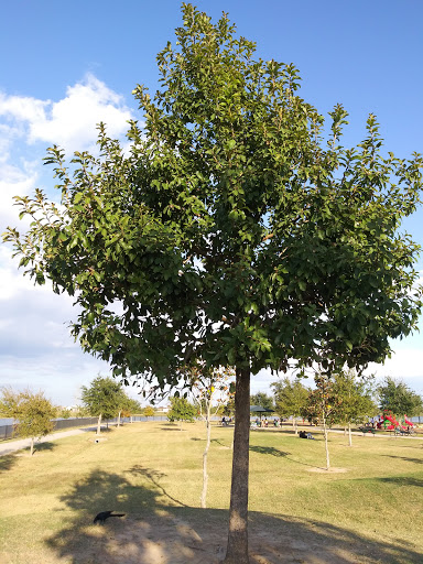 Park «Harris County Deputy Darren Goforth Park on Horsepen Creek», reviews and photos, 9118 Wheat Cross Dr, Houston, TX 77095, USA