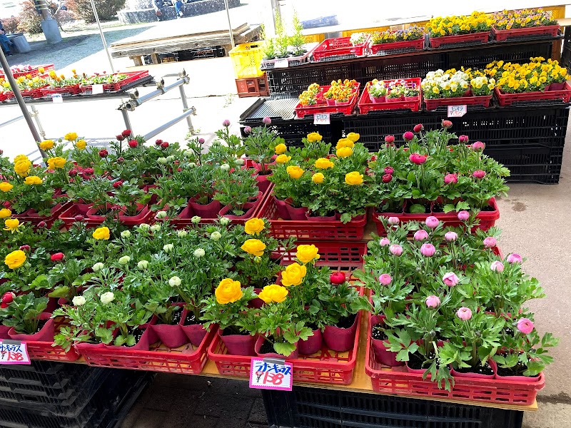 道の駅 おおすみ弥五郎伝説の里 鹿児島県曽於市大隅町岩川 サービスエリア パーキング エリア グルコミ