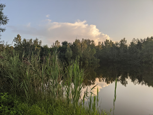 Golf Course «Maple Ridge Golf Course», reviews and photos, 8921 Center Rd, Austinburg, OH 44010, USA