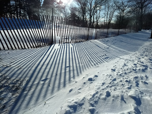 Park «Kissena Park», reviews and photos, 164-15 Booth Memorial Ave, Fresh Meadows, NY 11365, USA