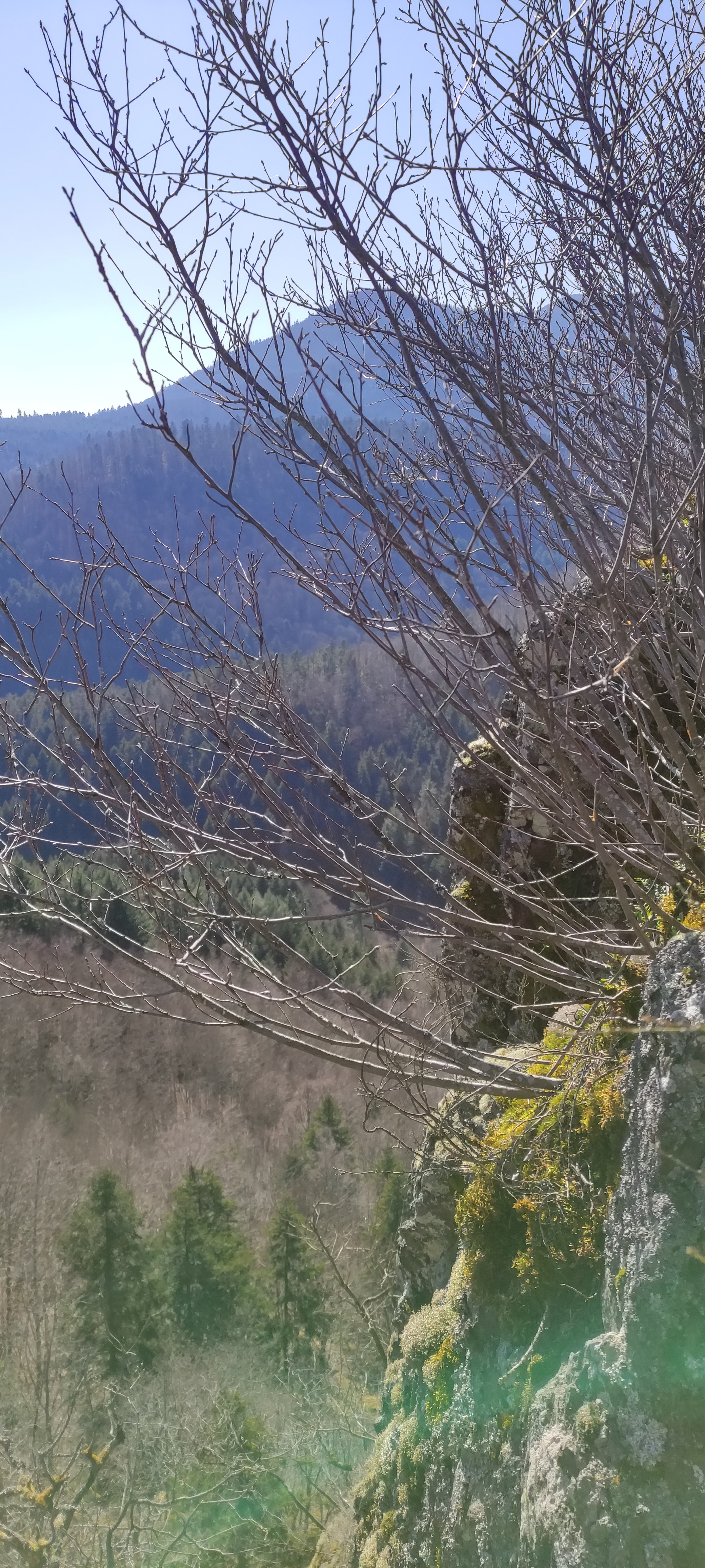 Photo n° 5 de l'avis de François. fait le 28/02/2022 à 13:24