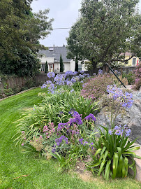 Brothers Landscaping - Photo 8 - Car repair in , San Francisco