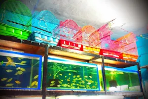 Kavya Aquarium & Pet Shop image
