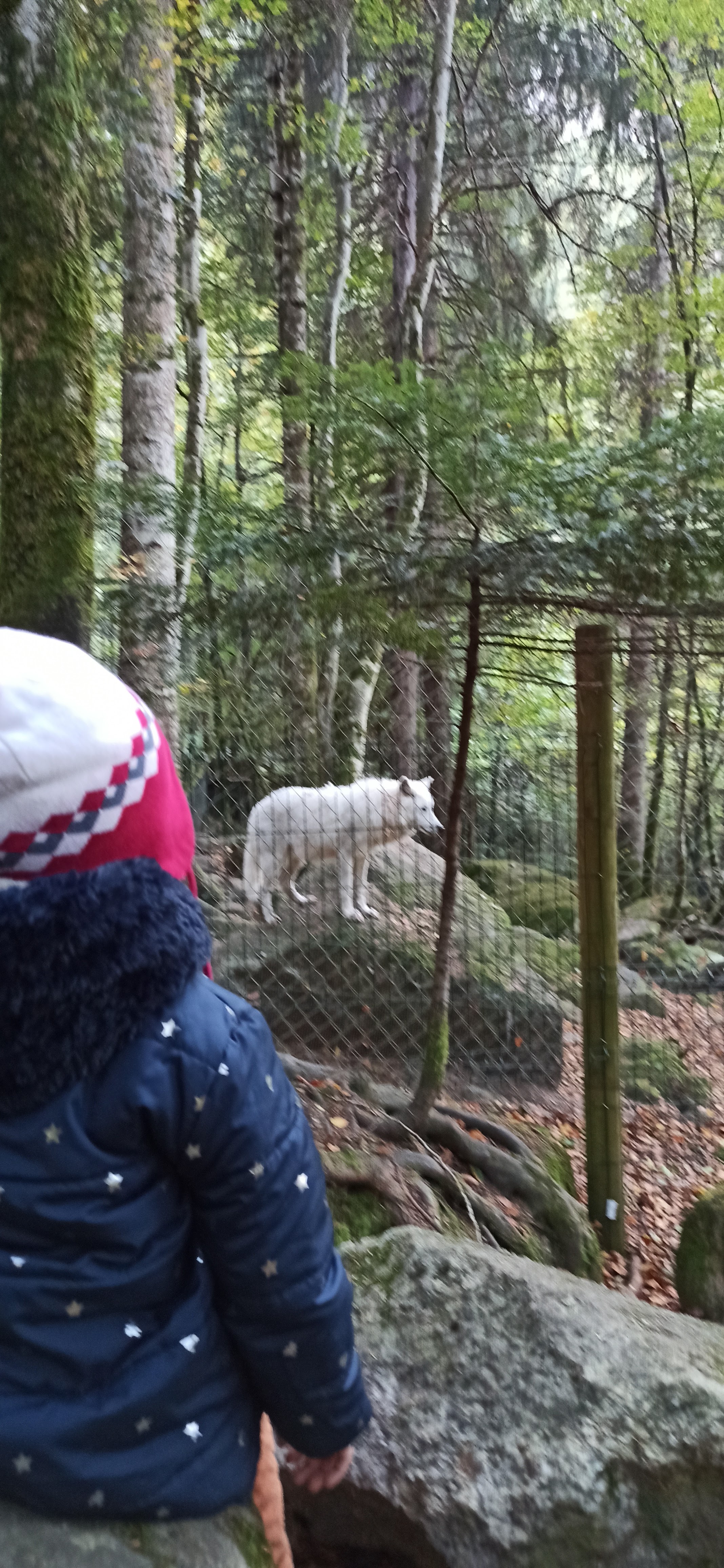 Photo n° 3 de l'avis de Yass.b fait le 29/10/2023 à 17:43