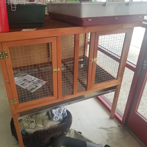 Pet Supply Store «Pet Supply», reviews and photos, 18545 Brookhurst St, Fountain Valley, CA 92708, USA