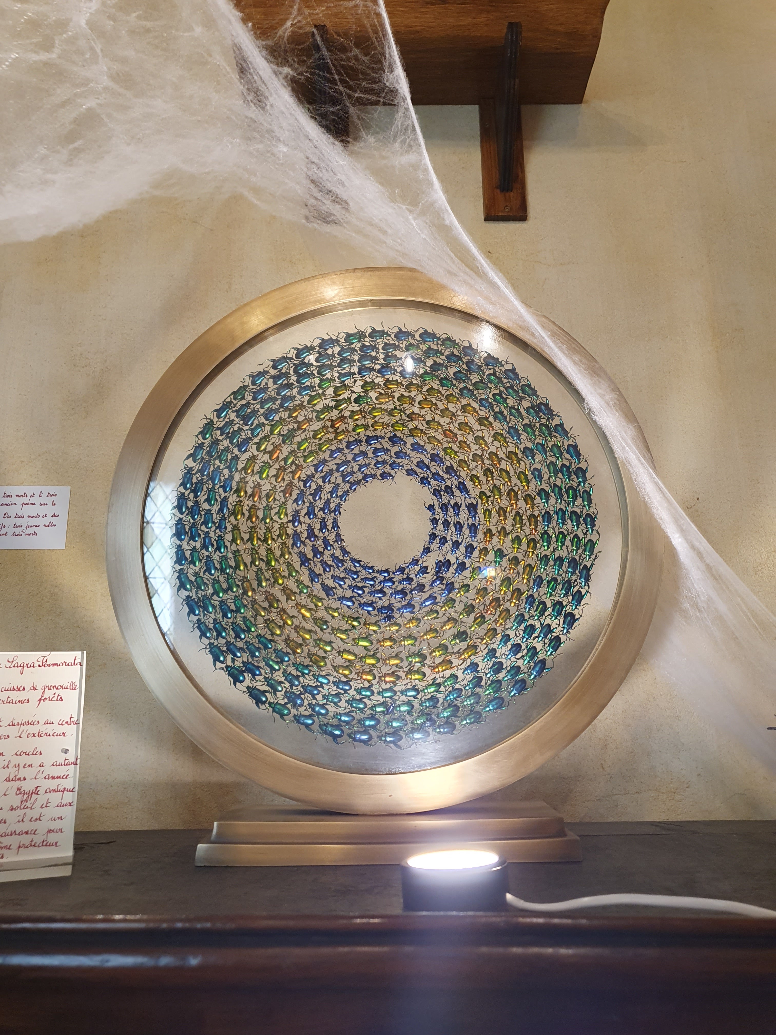 Photo n° 24 de l'avis de Valérie.a fait le 29/10/2023 à 05:20