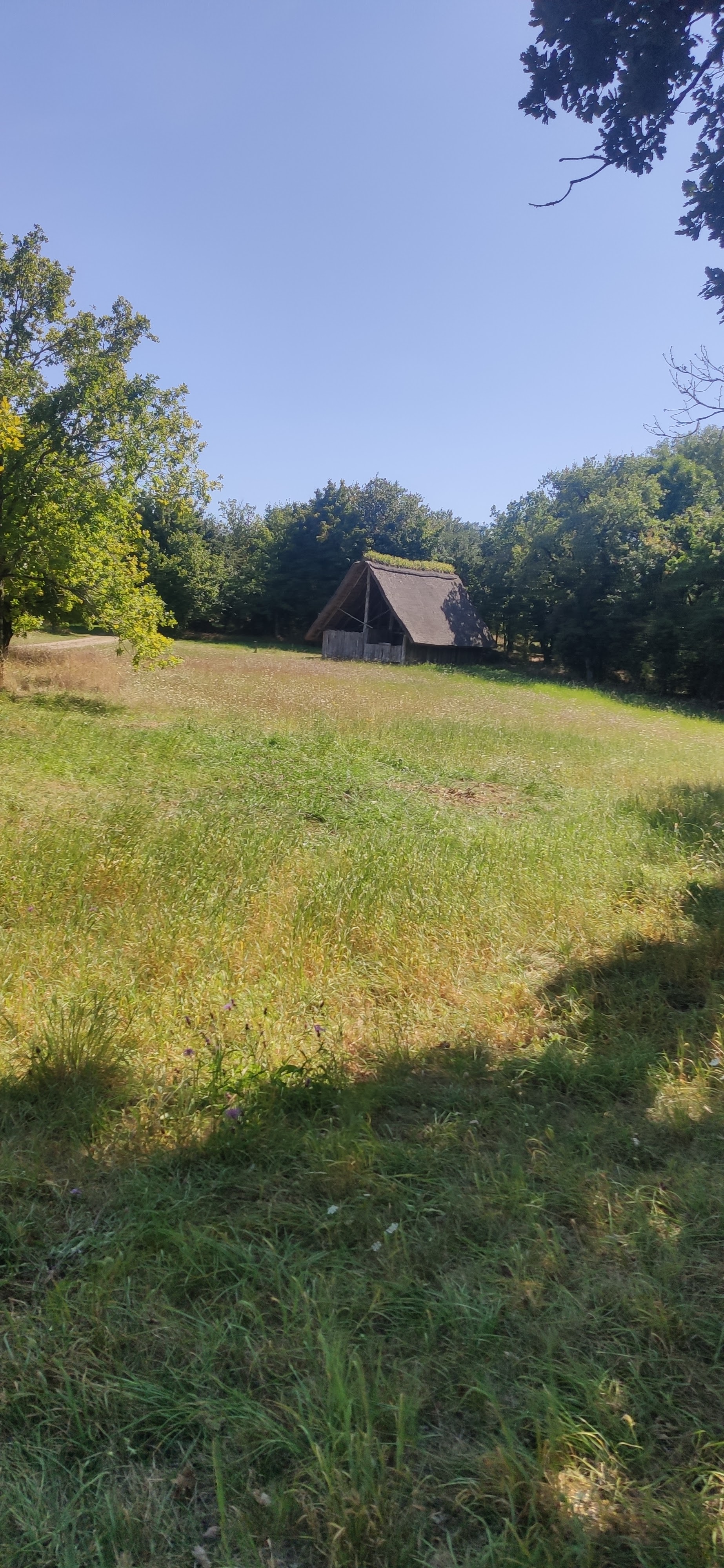 Photo n° 8 de l'avis de Darko8959. fait le 20/08/2021 à 18:14