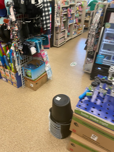 Dollar Store «Dollar Tree», reviews and photos, 14158 NE Woodinville Duvall Rd, Woodinville, WA 98072, USA