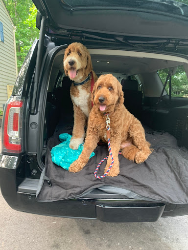 Chevrolet Dealer «Koons White Marsh Chevrolet», reviews and photos, 10207 Philadelphia Rd, White Marsh, MD 21162, USA